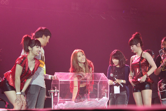 T-ARA
