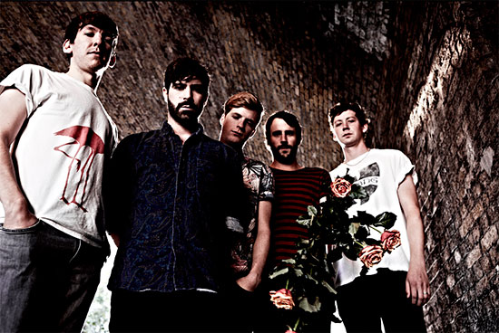Foals Foals