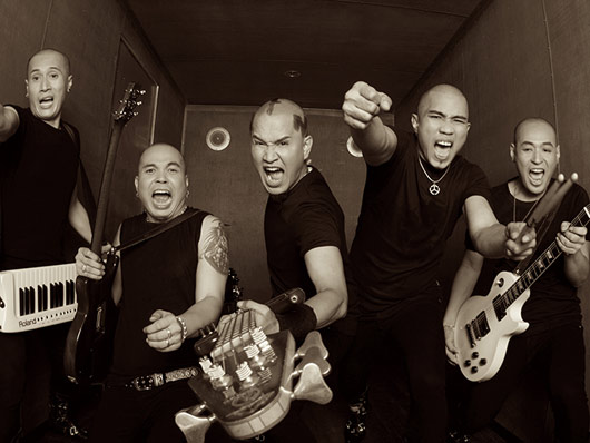 monkeys rock