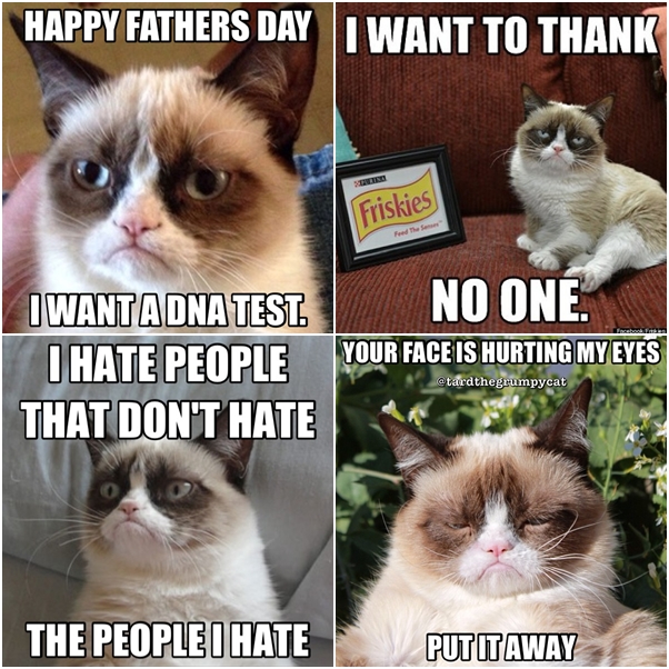 จัดเต็ม ! ชมภาพน่ารักของแมวเหมียว จาก IG น่าฟอลโลว์ จัดเต็ม ! ชมภาพน่ารักของแมวเหมียว จาก IG น่าฟอลโลว์