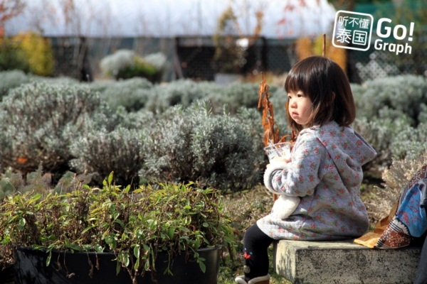 9 เมืองโดนใจในญี่ปุ่น อีกหนึ่งทางเลือกของนักเดินทาง  9 เมืองโดนใจในญี่ปุ่น อีกหนึ่งทางเลือกของนักเดินทาง