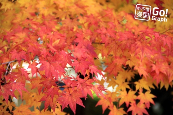 9 เมืองโดนใจในญี่ปุ่น อีกหนึ่งทางเลือกของนักเดินทาง  9 เมืองโดนใจในญี่ปุ่น อีกหนึ่งทางเลือกของนักเดินทาง