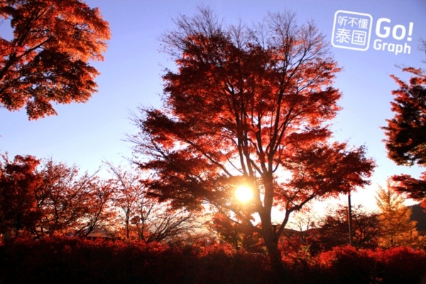 9 เมืองโดนใจในญี่ปุ่น อีกหนึ่งทางเลือกของนักเดินทาง  9 เมืองโดนใจในญี่ปุ่น อีกหนึ่งทางเลือกของนักเดินทาง