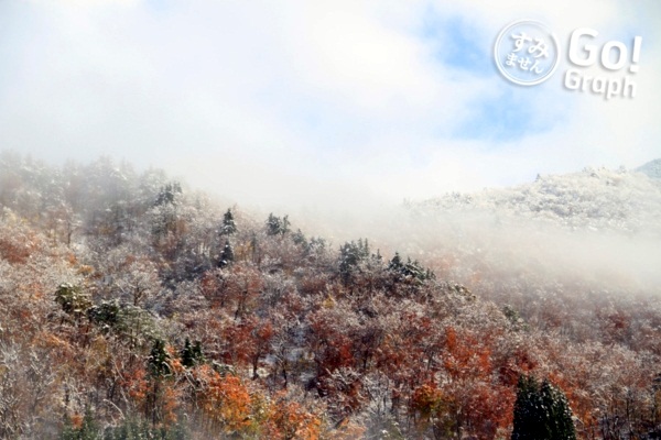 9 เมืองโดนใจในญี่ปุ่น อีกหนึ่งทางเลือกของนักเดินทาง  9 เมืองโดนใจในญี่ปุ่น อีกหนึ่งทางเลือกของนักเดินทาง