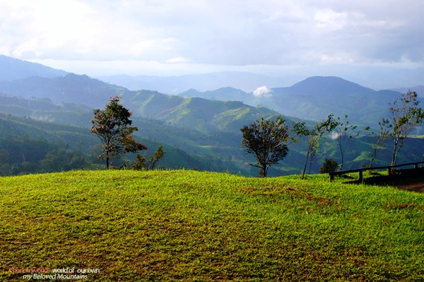 แอ่วน่าน ชมความงามของอุทยานฯ ศรีน่าน & ขุนสถาน