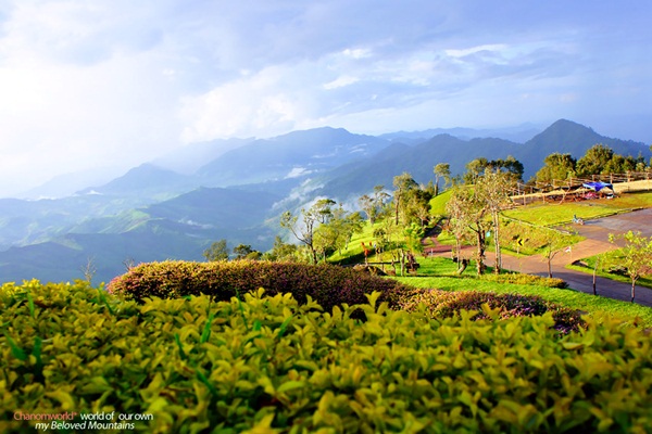 แอ่วน่าน ชมความงามของอุทยานฯ ศรีน่าน & ขุนสถาน