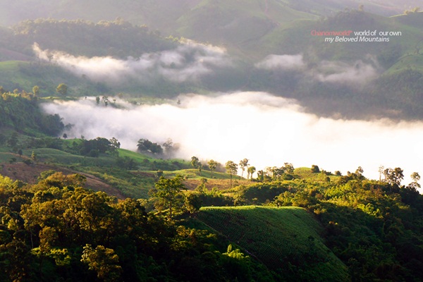 แอ่วน่าน ชมความงามของอุทยานฯ ศรีน่าน & ขุนสถาน