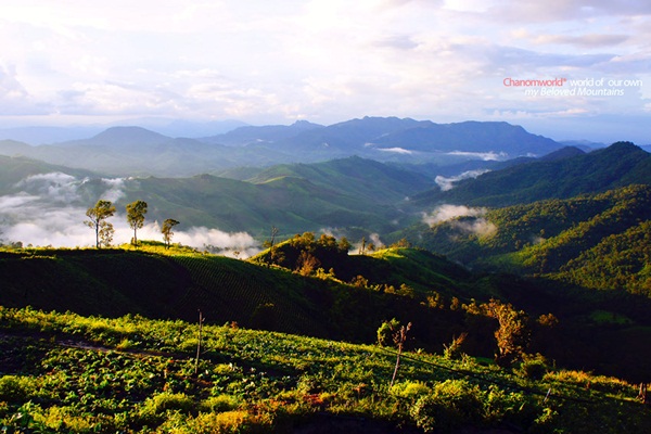 แอ่วน่าน ชมความงามของอุทยานฯ ศรีน่าน & ขุนสถาน