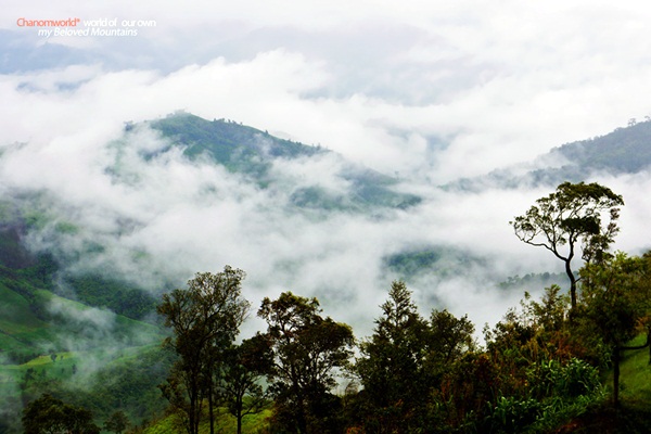 แอ่วน่าน ชมความงามของอุทยานฯ ศรีน่าน & ขุนสถาน