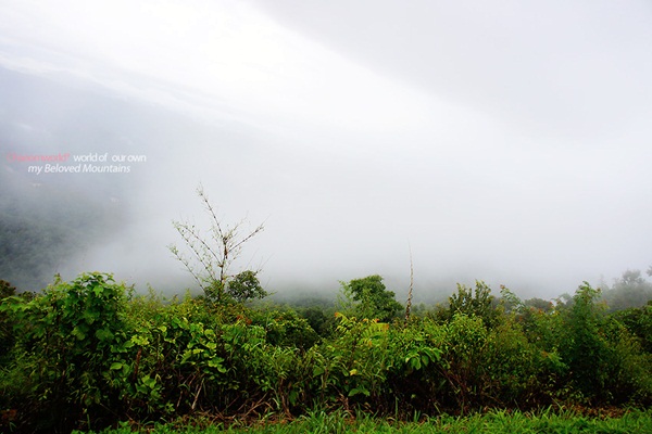 แอ่วน่าน ชมความงามของอุทยานฯ ศรีน่าน & ขุนสถาน