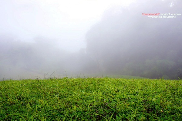 แอ่วน่าน ชมความงามของอุทยานฯ ศรีน่าน & ขุนสถาน