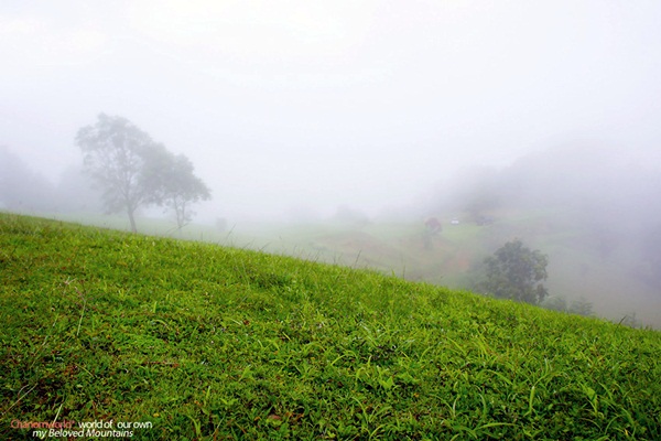แอ่วน่าน ชมความงามของอุทยานฯ ศรีน่าน & ขุนสถาน