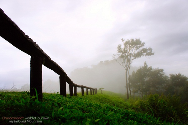 แอ่วน่าน ชมความงามของอุทยานฯ ศรีน่าน & ขุนสถาน