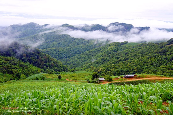 แอ่วน่าน ชมความงามของอุทยานฯ ศรีน่าน & ขุนสถาน