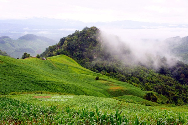 แอ่วน่าน ชมความงามของอุทยานฯ ศรีน่าน & ขุนสถาน