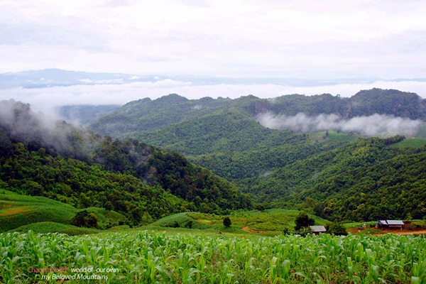 แอ่วน่าน ชมความงามของอุทยานฯ ศรีน่าน & ขุนสถาน