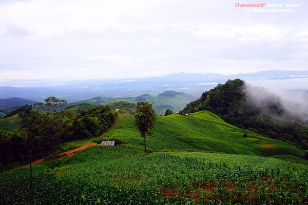 แอ่วน่าน ชมความงามของอุทยานฯ ศรีน่าน & ขุนสถาน