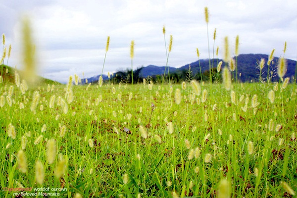 แอ่วน่าน ชมความงามของอุทยานฯ ศรีน่าน & ขุนสถาน