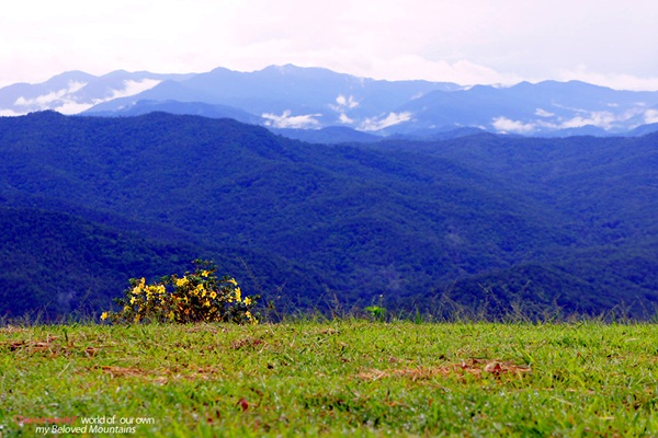 แอ่วน่าน ชมความงามของอุทยานฯ ศรีน่าน & ขุนสถาน
