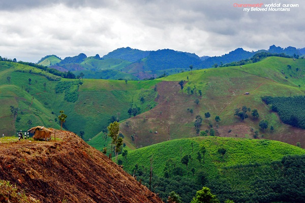 แอ่วน่าน ชมความงามของอุทยานฯ ศรีน่าน & ขุนสถาน