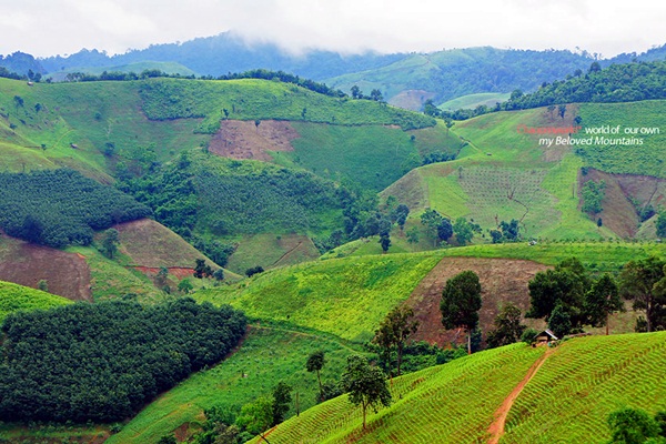 แอ่วน่าน ชมความงามของอุทยานฯ ศรีน่าน & ขุนสถาน