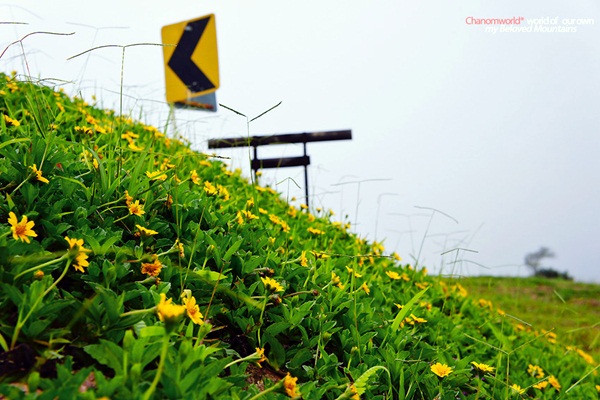 แอ่วน่าน ชมความงามของอุทยานฯ ศรีน่าน & ขุนสถาน
