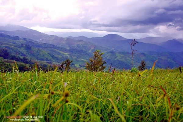 แอ่วน่าน ชมความงามของอุทยานฯ ศรีน่าน & ขุนสถาน