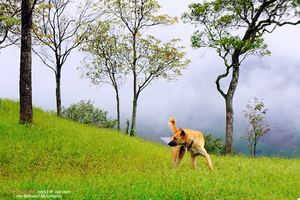 แอ่วน่าน ชมความงามของอุทยานฯ ศรีน่าน & ขุนสถาน