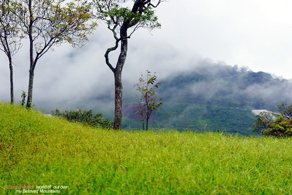 แอ่วน่าน ชมความงามของอุทยานฯ ศรีน่าน & ขุนสถาน