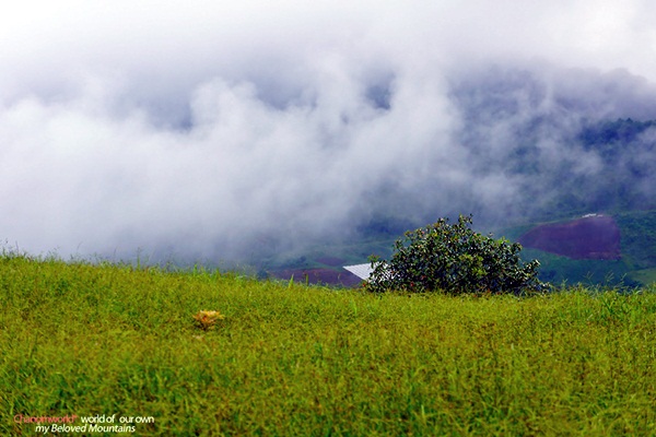 แอ่วน่าน ชมความงามของอุทยานฯ ศรีน่าน & ขุนสถาน