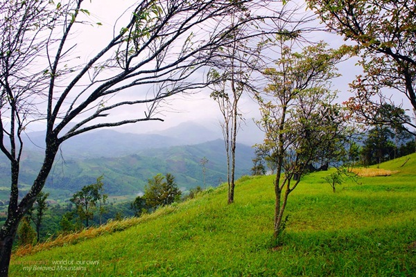 แอ่วน่าน ชมความงามของอุทยานฯ ศรีน่าน & ขุนสถาน