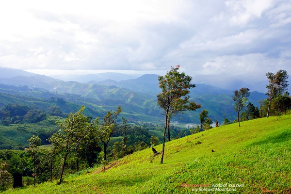 แอ่วน่าน ชมความงามของอุทยานฯ ศรีน่าน & ขุนสถาน