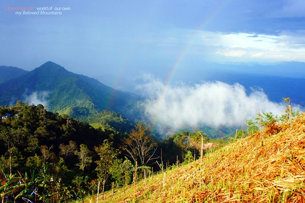 แอ่วน่าน ชมความงามของอุทยานฯ ศรีน่าน & ขุนสถาน