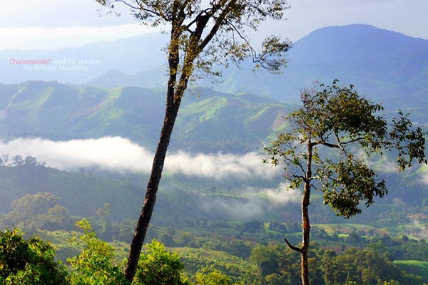 แอ่วน่าน ชมความงามของอุทยานฯ ศรีน่าน & ขุนสถาน
