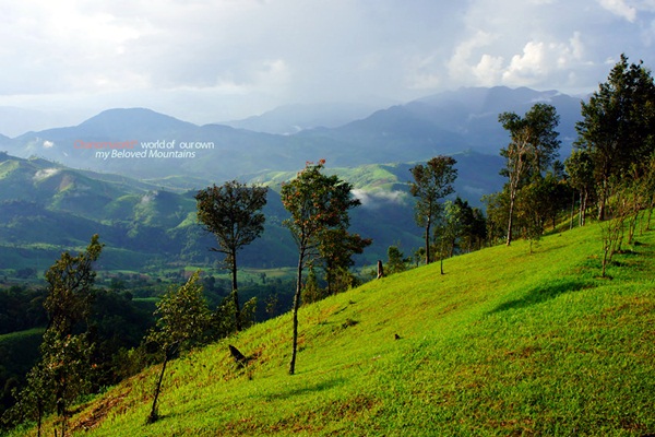 แอ่วน่าน ชมความงามของอุทยานฯ ศรีน่าน & ขุนสถาน