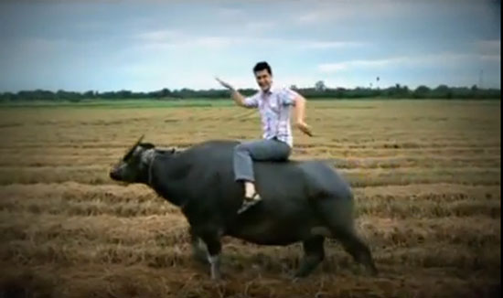 คลิปฝรั่งชวนเที่ยวเมืองไทย แห่กดไลค์ กดแชร์ เพียบ