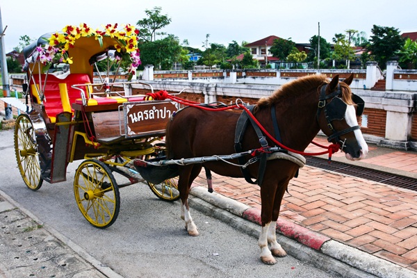 เที่ยวลำปาง ชมเมืองลำปางบนรถม้า