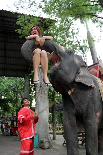 เทยเที่ยวไทย พาเที่ยว สวนเสือศรีราชา 19 กรกฎาคมนี้ เทยเที่ยวไทย พาเที่ยว สวนเสือศรีราชา 19 กรกฎาคมนี้