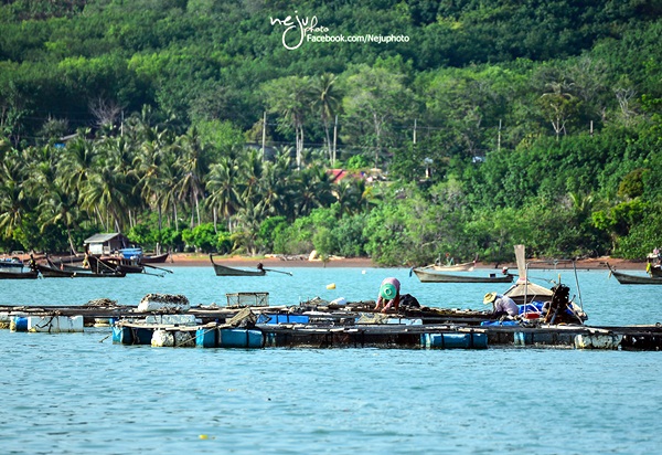 หลงเสน่ห์เมืองพังงา เพลินตาที่เกาะยาวน้อย เกาะยาวใหญ่ หลงเสน่ห์เมืองพังงา เพลินตาที่เกาะยาวน้อย เกาะยาวใหญ่