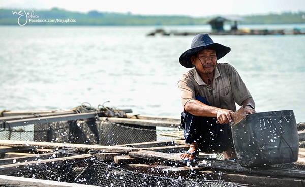 หลงเสน่ห์เมืองพังงา เพลินตาที่เกาะยาวน้อย เกาะยาวใหญ่ หลงเสน่ห์เมืองพังงา เพลินตาที่เกาะยาวน้อย เกาะยาวใหญ่
