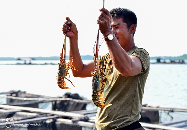 หลงเสน่ห์เมืองพังงา เพลินตาที่เกาะยาวน้อย เกาะยาวใหญ่ หลงเสน่ห์เมืองพังงา เพลินตาที่เกาะยาวน้อย เกาะยาวใหญ่