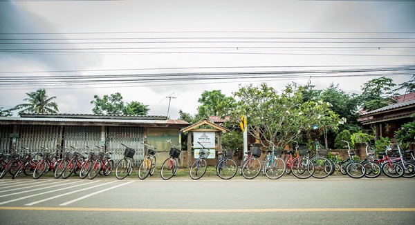 ปั่นจักรยานเที่ยวแบบ Slow Travel ที่บ้านนาต้นจั่น สุโขทัย ปั่นจักรยานเที่ยวแบบ Slow Travel ที่บ้านนาต้นจั่น สุโขทัย