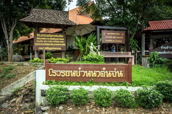 ปั่นจักรยานเที่ยวแบบ Slow Travel ที่บ้านนาต้นจั่น สุโขทัย ปั่นจักรยานเที่ยวแบบ Slow Travel ที่บ้านนาต้นจั่น สุโขทัย