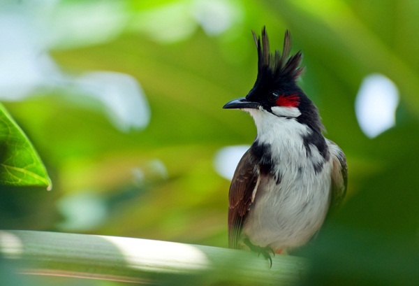 12 เหตุผลดี ๆ ที่ควรไปเยือนเนปาลสักครั้ง 12 เหตุผลดี ๆ ที่ควรไปเยือนเนปาลสักครั้งนเนปาลสักครั้ง