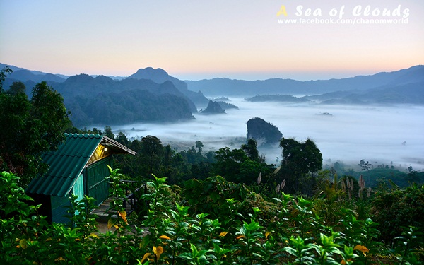 3 ความงามแห่งขุนเขา ภูลังกา ดอยแม่ตะมาน ดอยอินทนนท์ 3 ความงามแห่งขุนเขา ภูลังกา ดอยแม่ตะมาน ดอยอินทนนท์