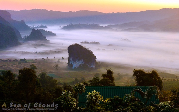 3 ความงามแห่งขุนเขา ภูลังกา ดอยแม่ตะมาน ดอยอินทนนท์ 3 ความงามแห่งขุนเขา ภูลังกา ดอยแม่ตะมาน ดอยอินทนนท์
