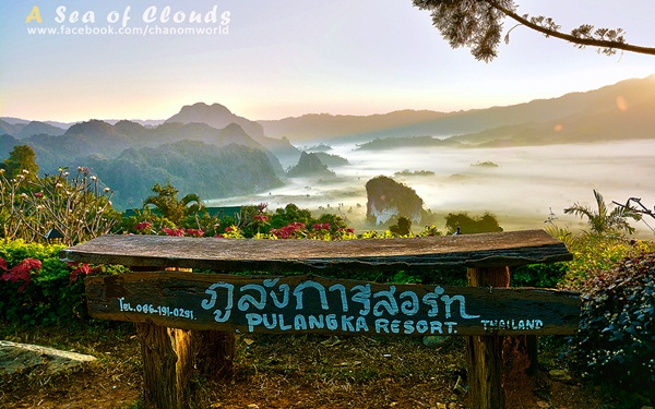 3 ความงามแห่งขุนเขา ภูลังกา ดอยแม่ตะมาน ดอยอินทนนท์ 3 ความงามแห่งขุนเขา ภูลังกา ดอยแม่ตะมาน ดอยอินทนนท์