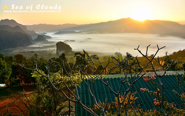 3 ความงามแห่งขุนเขา ภูลังกา ดอยแม่ตะมาน ดอยอินทนนท์ 3 ความงามแห่งขุนเขา ภูลังกา ดอยแม่ตะมาน ดอยอินทนนท์
