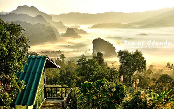 3 ความงามแห่งขุนเขา ภูลังกา ดอยแม่ตะมาน ดอยอินทนนท์ 3 ความงามแห่งขุนเขา ภูลังกา ดอยแม่ตะมาน ดอยอินทนนท์