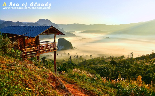 3 ความงามแห่งขุนเขา ภูลังกา ดอยแม่ตะมาน ดอยอินทนนท์ 3 ความงามแห่งขุนเขา ภูลังกา ดอยแม่ตะมาน ดอยอินทนนท์